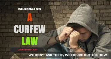 Michigan Curfew Laws: What Parents and Teens Need to Know