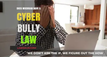 Michigan's Cyberbullying Laws: Understanding Legal Protections and Penalties