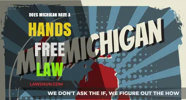Michigan's Hands-Free Law: What Drivers Need to Know