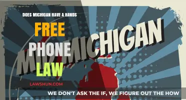 Michigan's Hands-Free Phone Law: What Drivers Need to Know