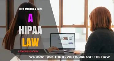 Does Michigan Have a HIPAA Law? Understanding State Privacy Rules