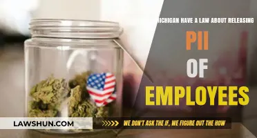 Michigan's PII Release Laws: Employee Privacy Protections Explained