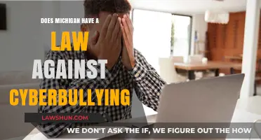 Michigan's Cyberbullying Laws: Understanding Legal Protections Against Online Harassment