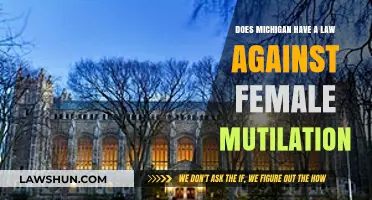Michigan's Legal Stance on Female Genital Mutilation: What You Need to Know