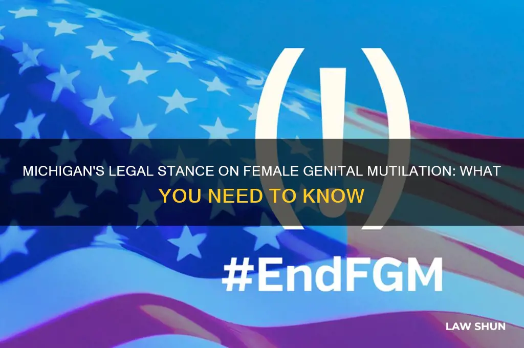does michigan have a law against female mutilation