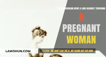Michigan Law: Is Touching a Pregnant Woman Illegal?