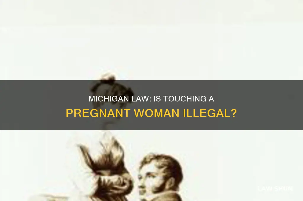 does michigan have a law against touching a pregnant woman