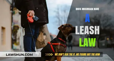 Michigan Leash Law: Understanding Pet Owner Responsibilities and Regulations