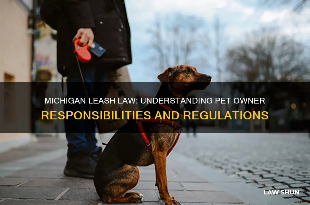 does michigan have a leash law