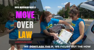 Michigan's Move Over Law: Understanding Safety Rules for Drivers