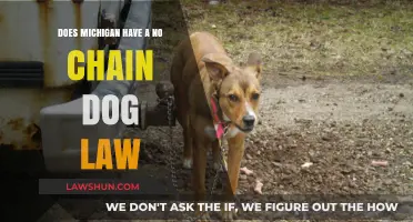 Michigan's Dog Tethering Laws: Understanding Restrictions on Chaining Dogs