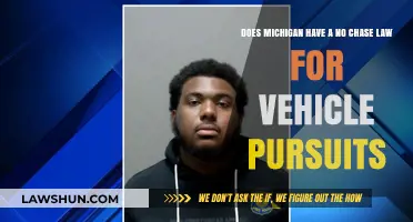 Michigan's No Chase Law: Understanding Vehicle Pursuit Regulations