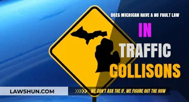 Michigan's No-Fault Law: Understanding Traffic Collision Liability Rules