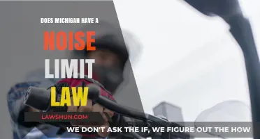 Michigan Noise Laws: Understanding the Limits and Regulations