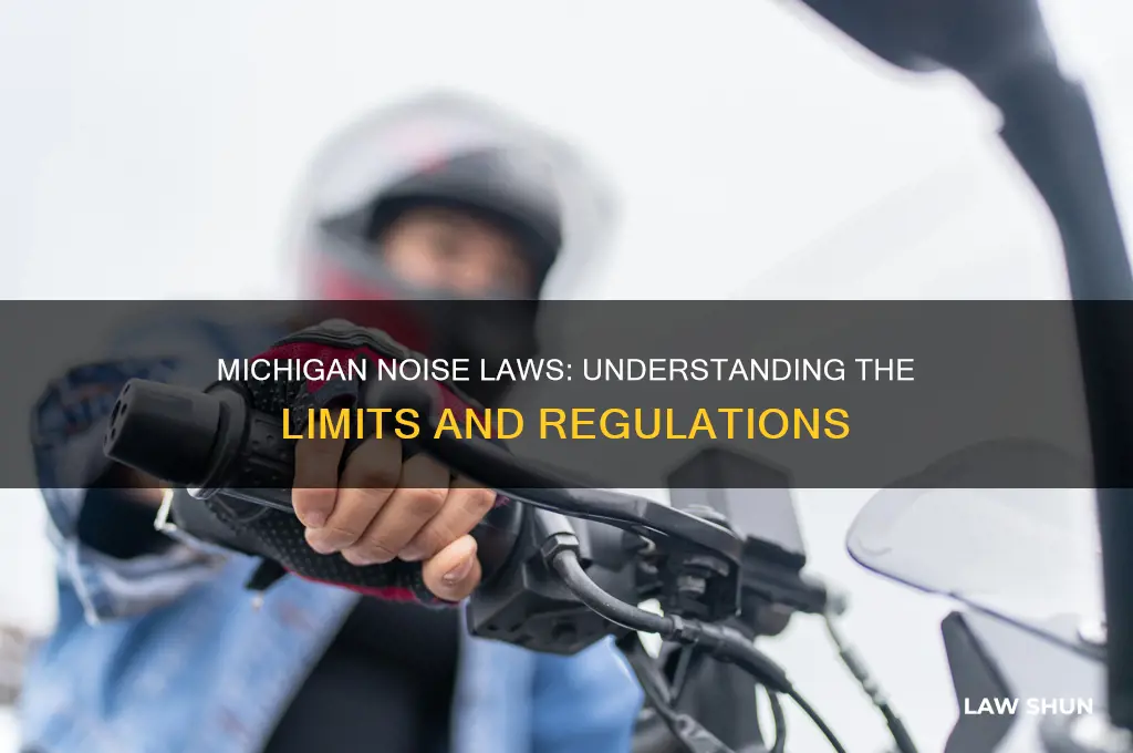 does michigan have a noise limit law
