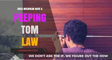 Michigan's Peeping Tom Law: Understanding Privacy Protections and Penalties