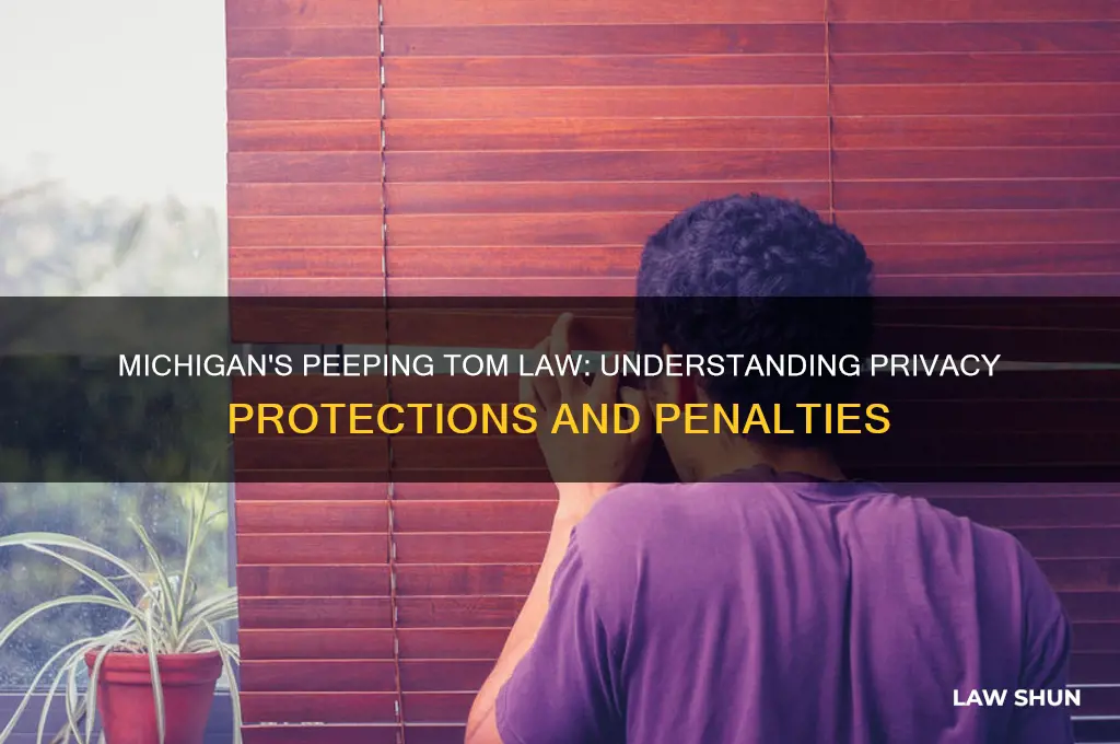does michigan have a peeping tom law