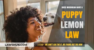 Michigan Puppy Lemon Law: Protecting Buyers from Unhealthy Pets?