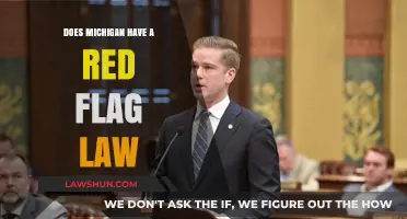 Does Michigan Have a Red Flag Law? Understanding Gun Control Measures
