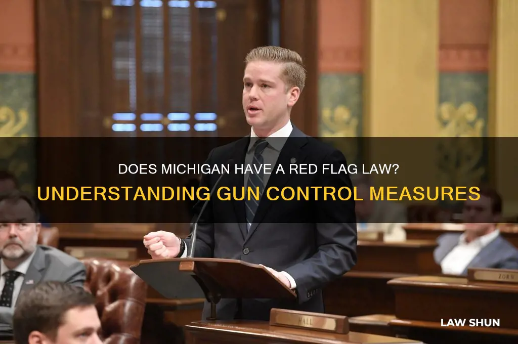does michigan have a red flag law