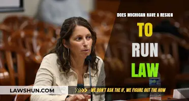 Does Michigan Require Resignation to Run for Office? Exploring the Law