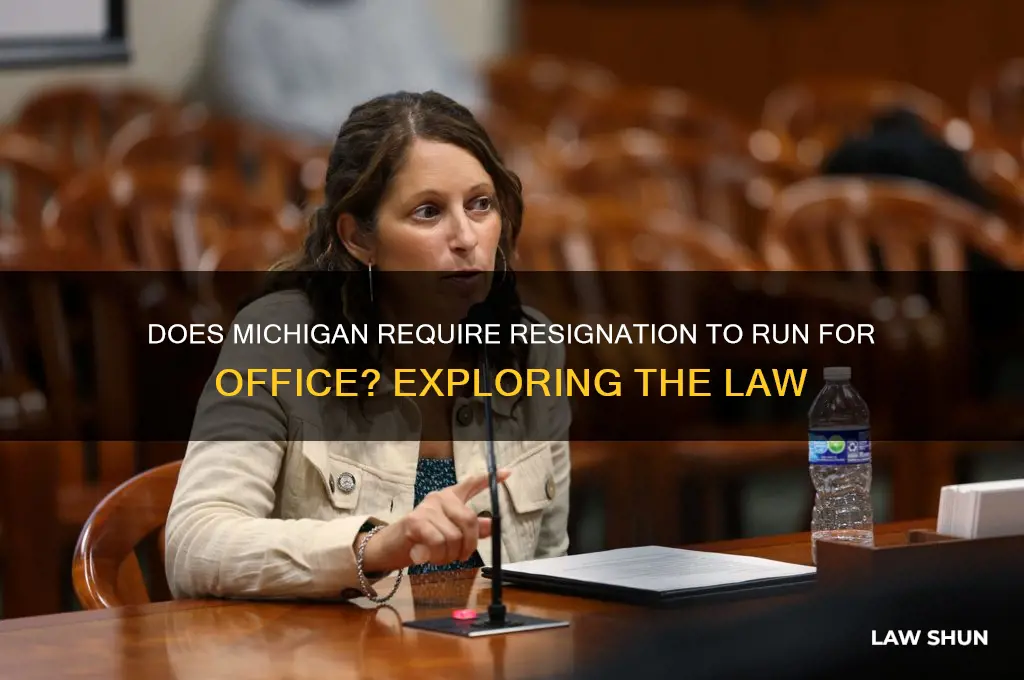 does michigan have a resign to run law