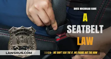 Michigan Seatbelt Law: Understanding the Requirements and Penalties