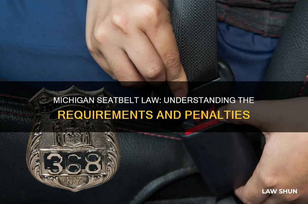 does michigan have a seatbelt law