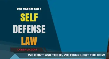 Michigan's Self-Defense Law: Understanding Your Rights and Protections
