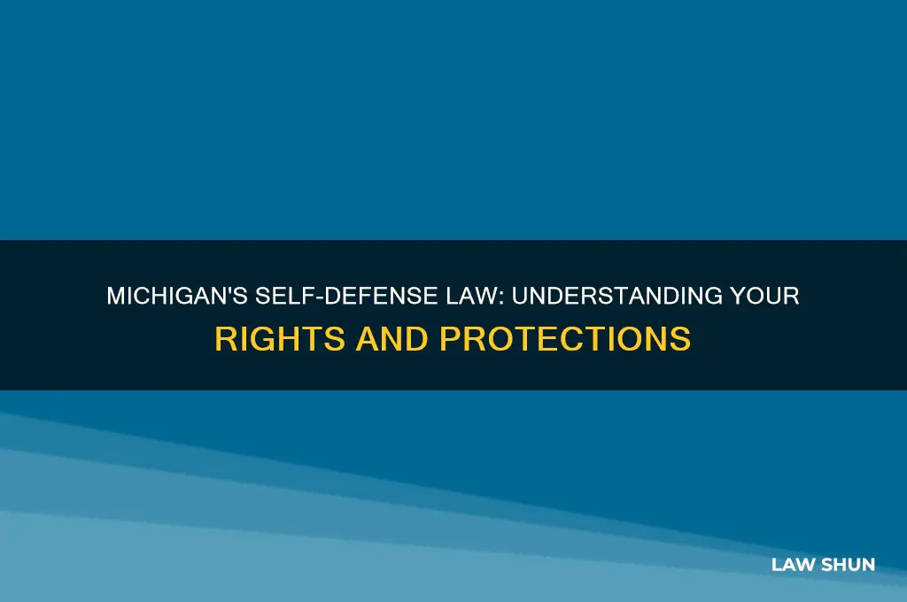 does michigan have a self defense law