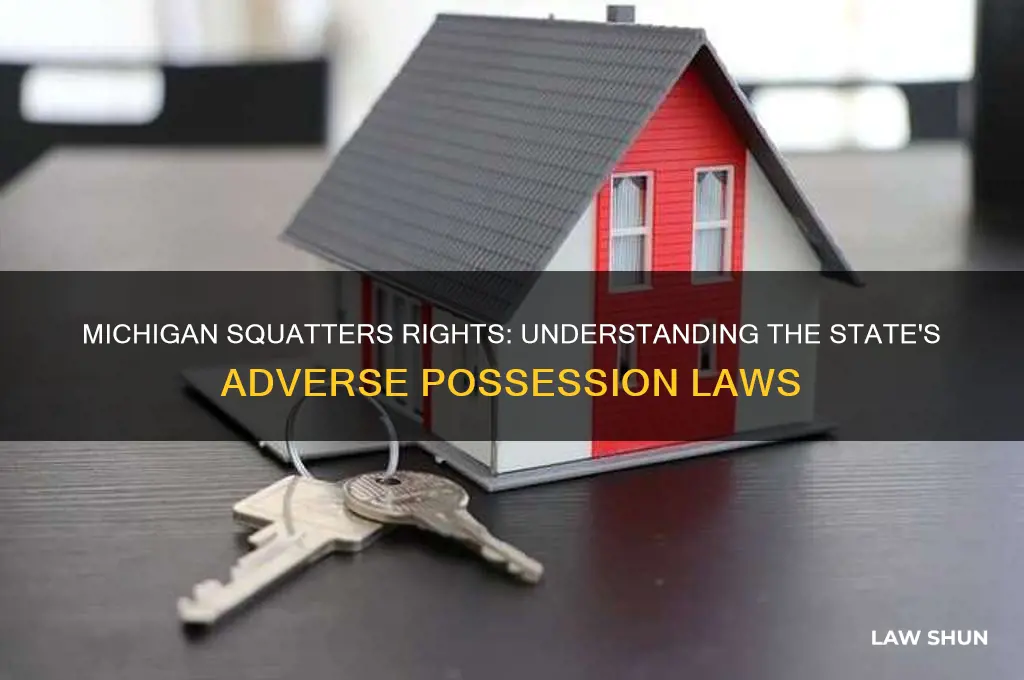 does michigan have a squatters law