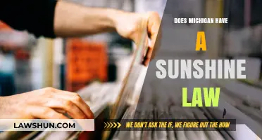 Does Michigan Have a Sunshine Law? Understanding Public Access Rights