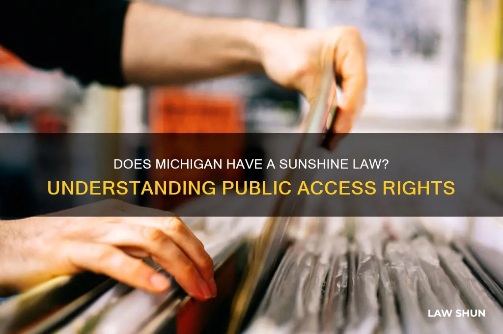 does michigan have a sunshine law