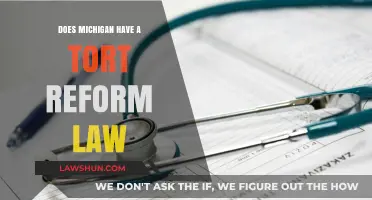 Michigan Tort Reform: Understanding the State's Liability Laws and Reforms