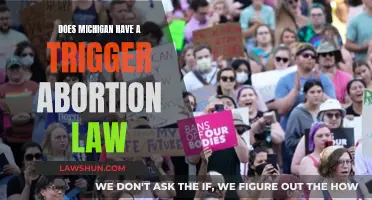 Michigan's Abortion Laws: Triggered Ban Explored