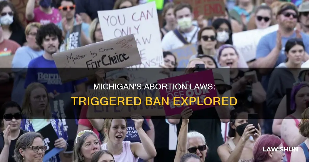 does michigan have a trigger abortion law