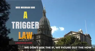 Does Michigan Have a Trigger Law? Understanding Post-Roe Legalities