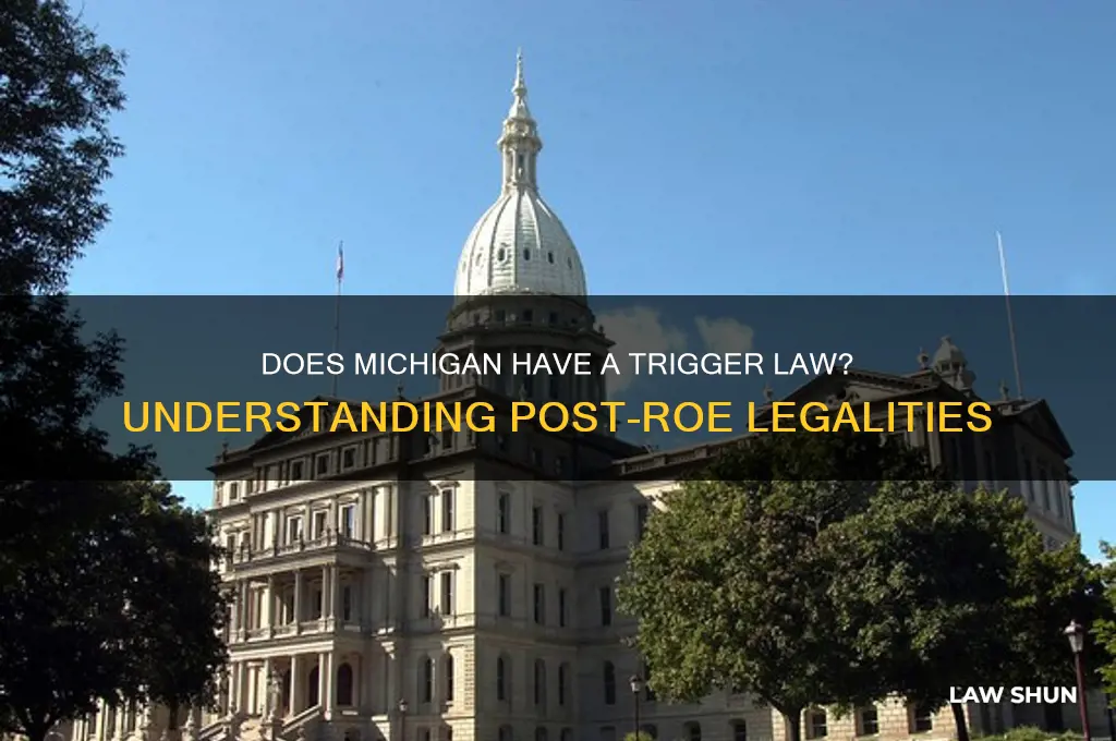 does michigan have a trigger law