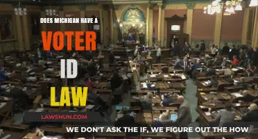 Does Michigan Require Voter ID? Understanding Current Election Laws