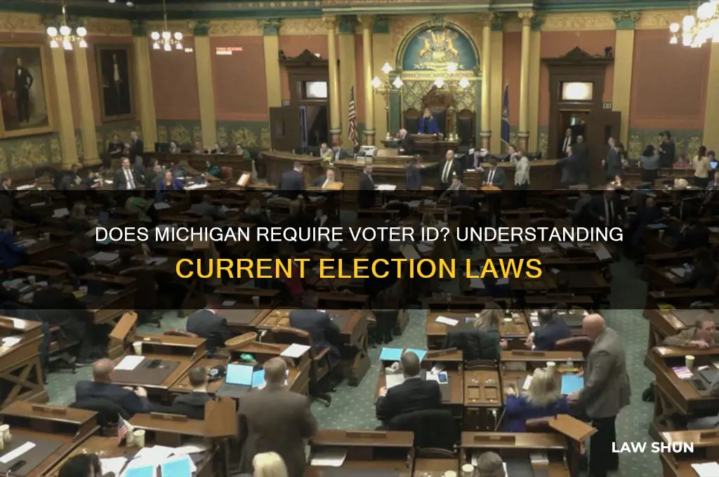 does michigan have a voter id law