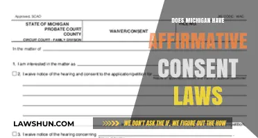 Understanding Michigan's Affirmative Consent Laws: What You Need to Know