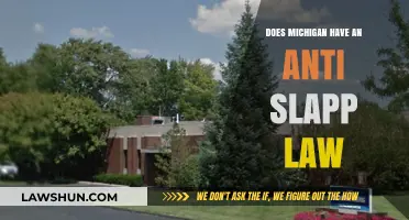 Michigan's Anti-SLAPP Law: What You Need to Know
