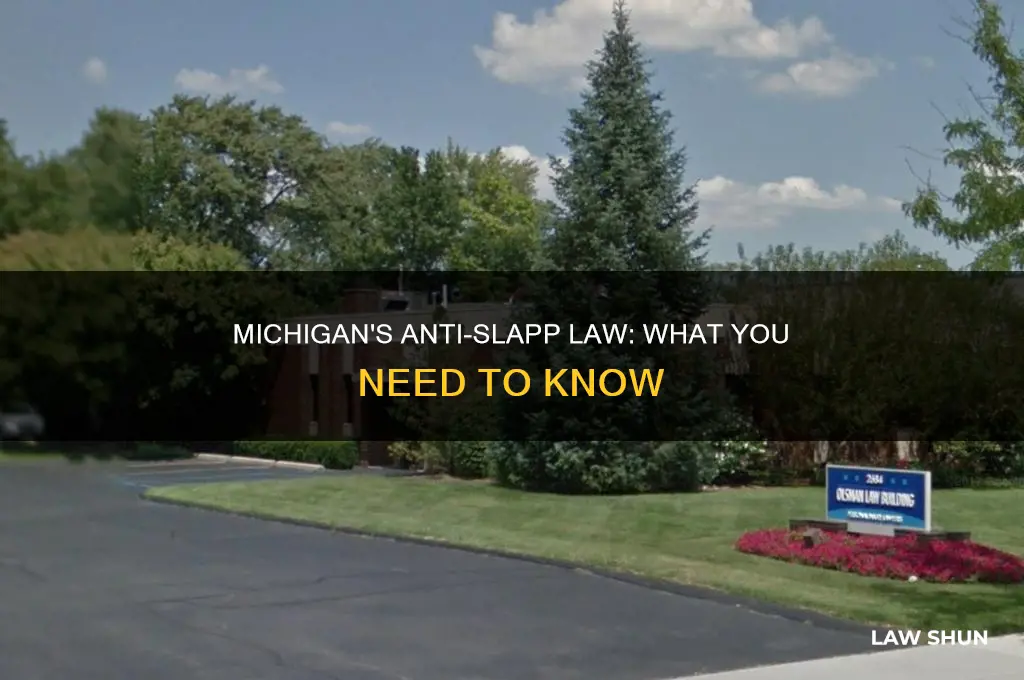 does michigan have an anti slapp law