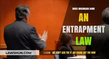 Michigan Entrapment Law: Understanding Legal Protections and Defense Strategies