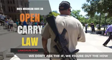 Michigan's Open Carry Law: Understanding Your Rights and Regulations