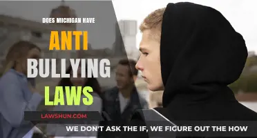 Michigan's Anti-Bullying Laws: What Protections Are There?