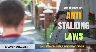 Michigan's Anti-Stalking Laws: What You Need to Know