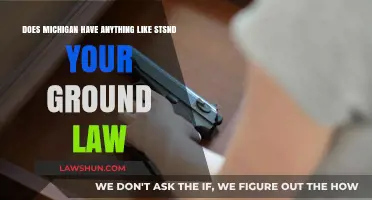 Michigan's Self-Defense Laws: Similar to Stand Your Ground?