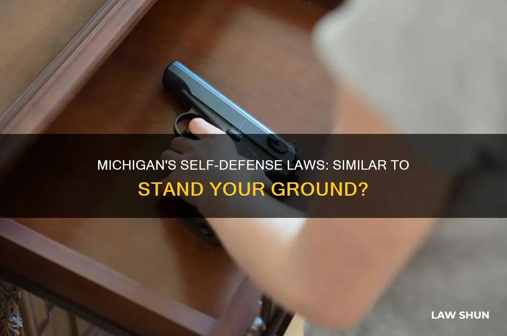 does michigan have anything like stsnd your ground law