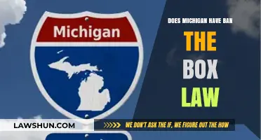 Michigan's Ban the Box Law: What Employers and Job Seekers Need to Know